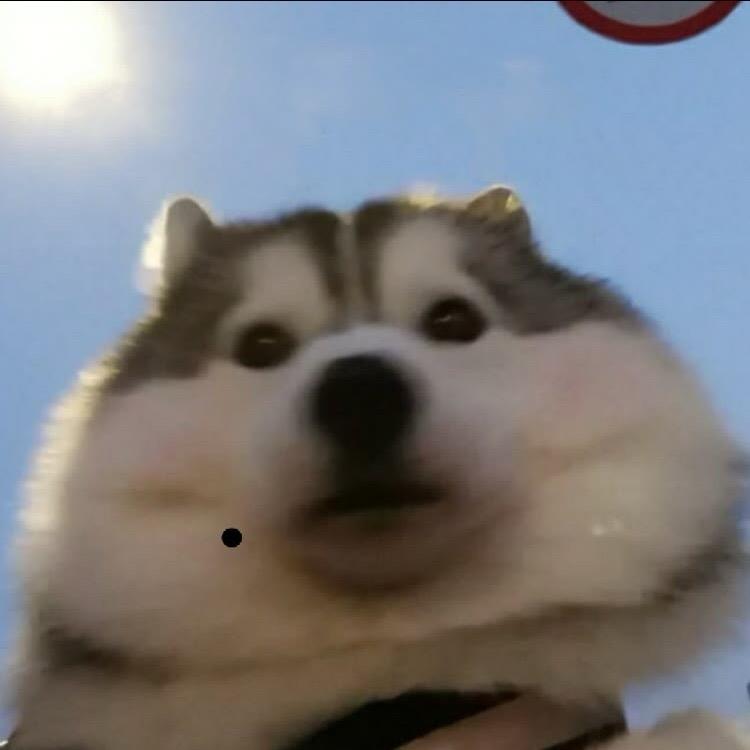 阿轩.
