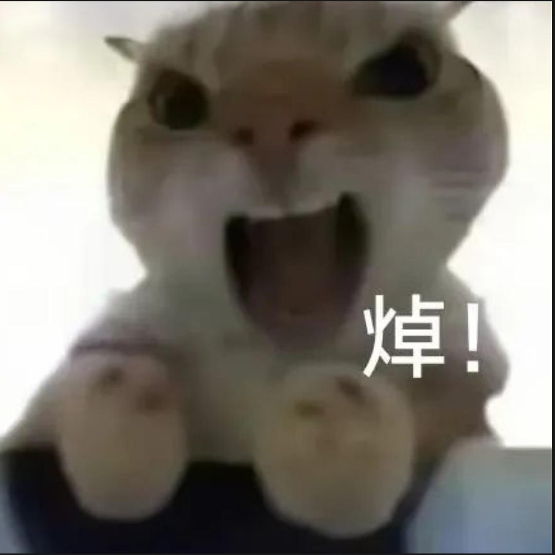 兔比侠