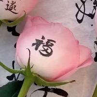 加油吖
