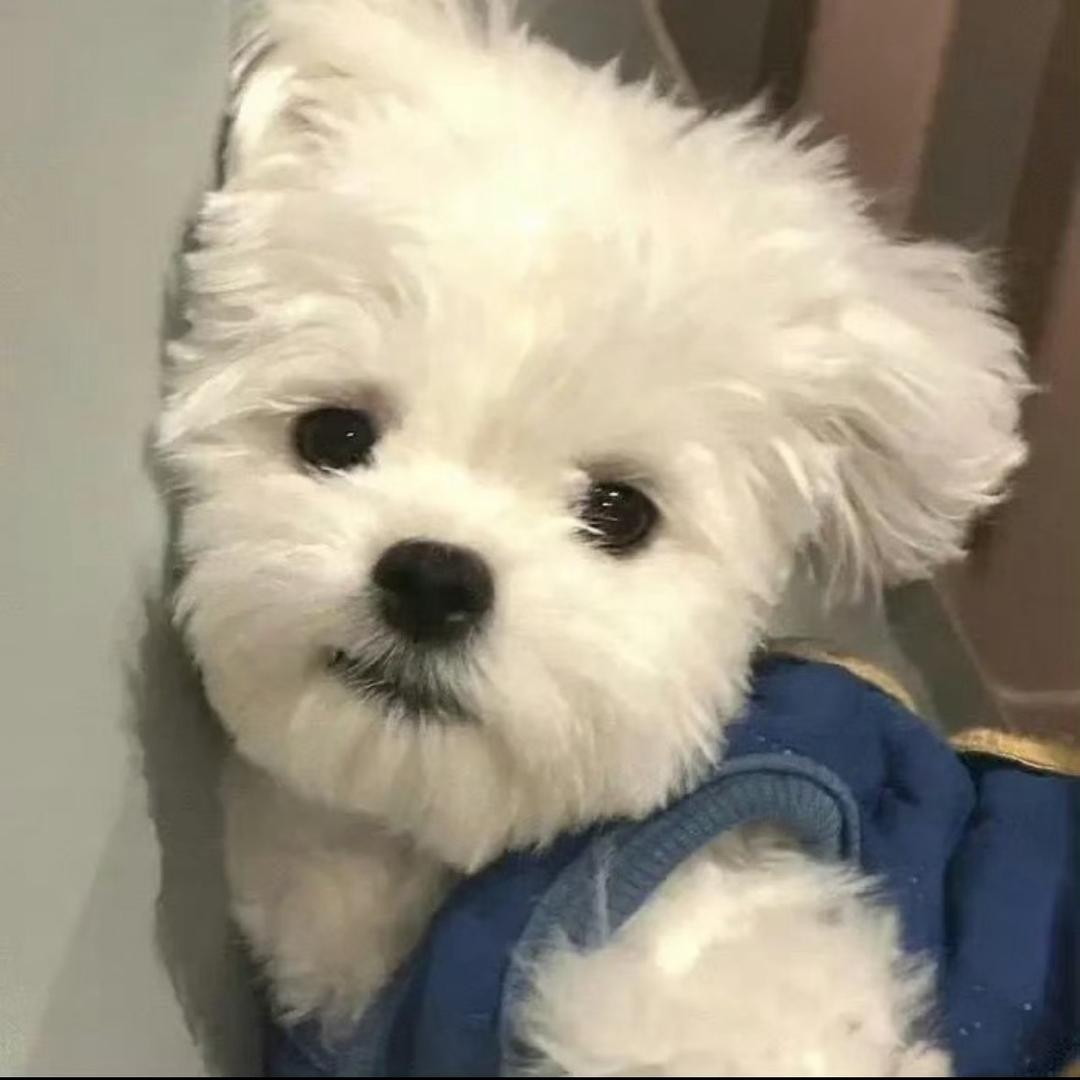 勿扰