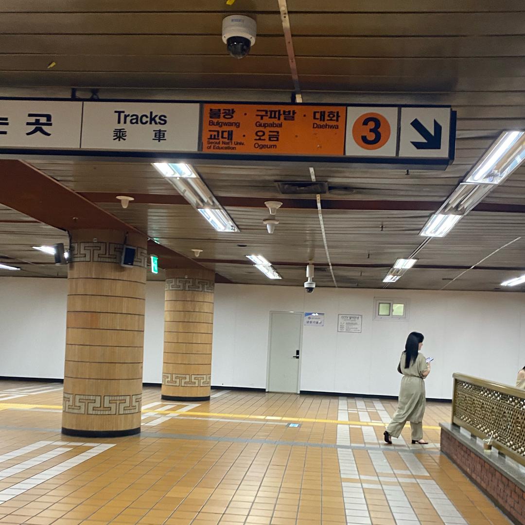 在新丽丽