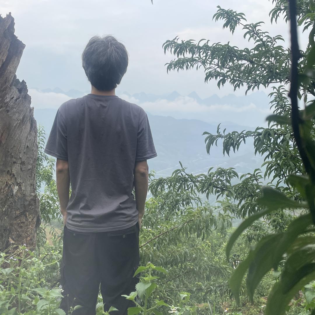 小陈同学（百香果-石榴-金桔-蜂糖李）