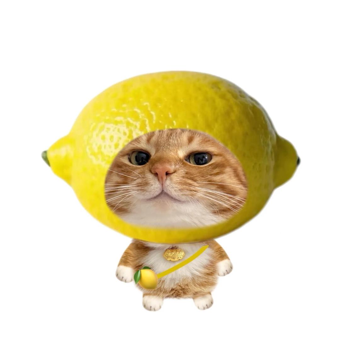 下小雨.