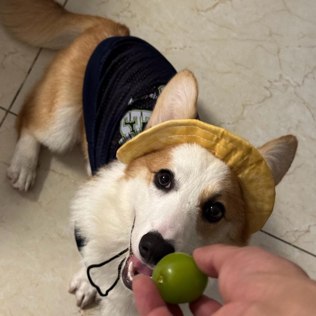 鼻屎拌饭加个蛋-