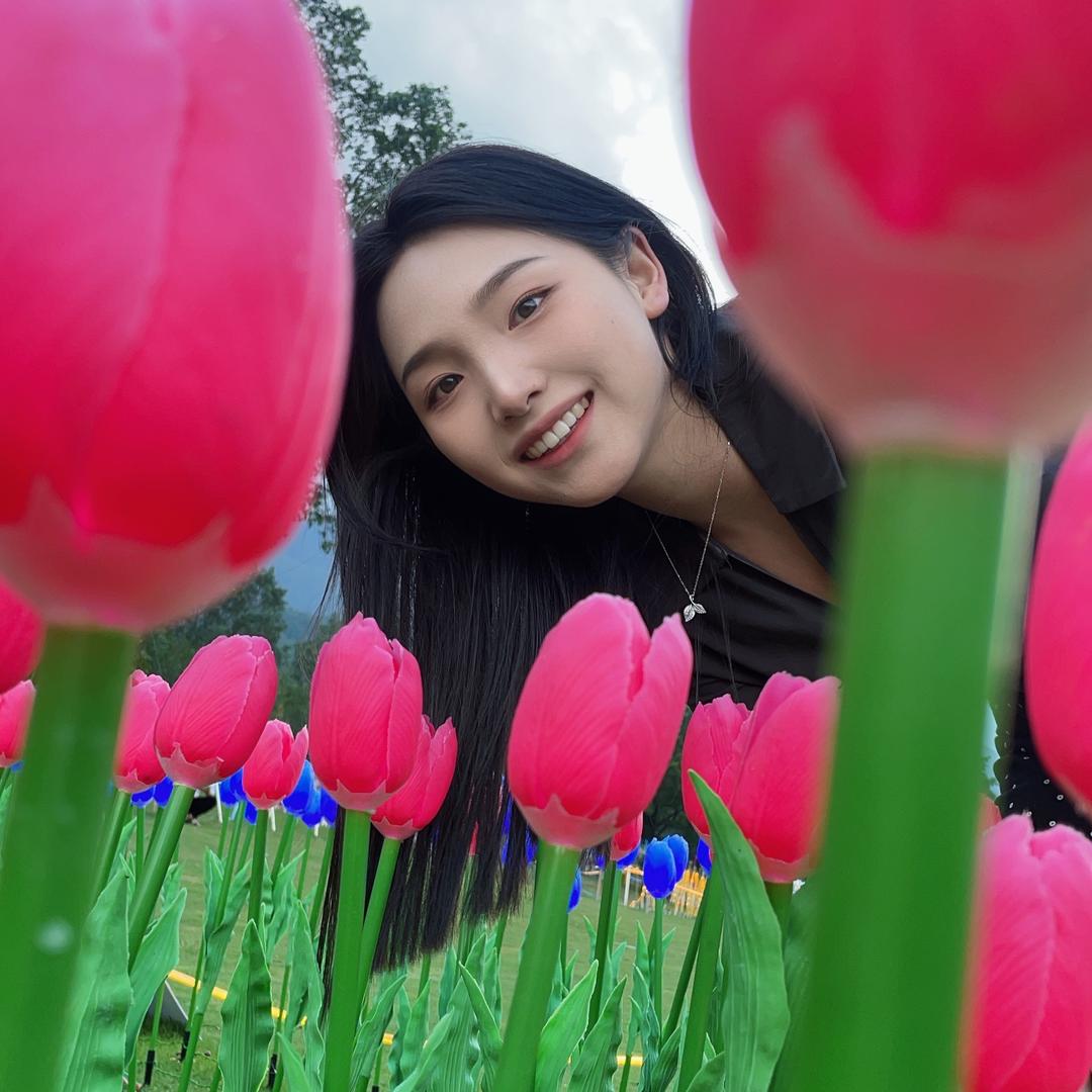 发发日记