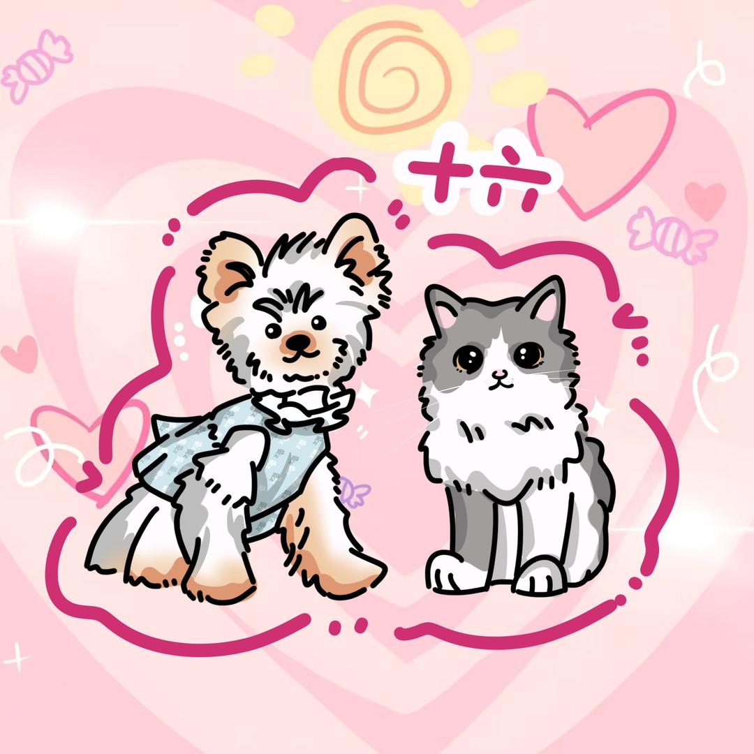 十六宠物零食自选店