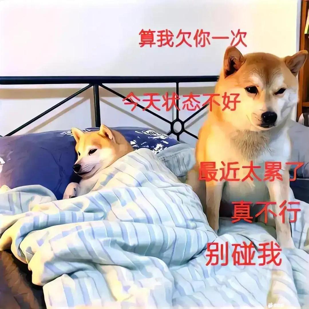 亚伦