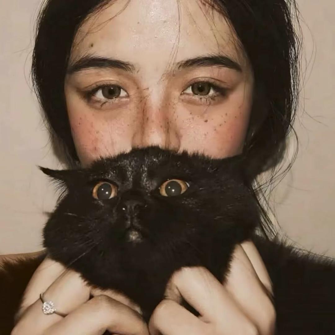 不能说的秘密.