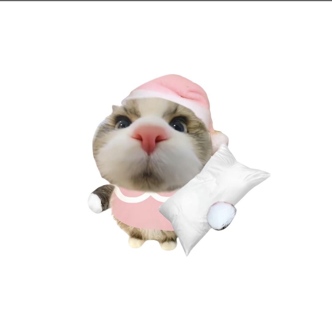 小锅巴🍘