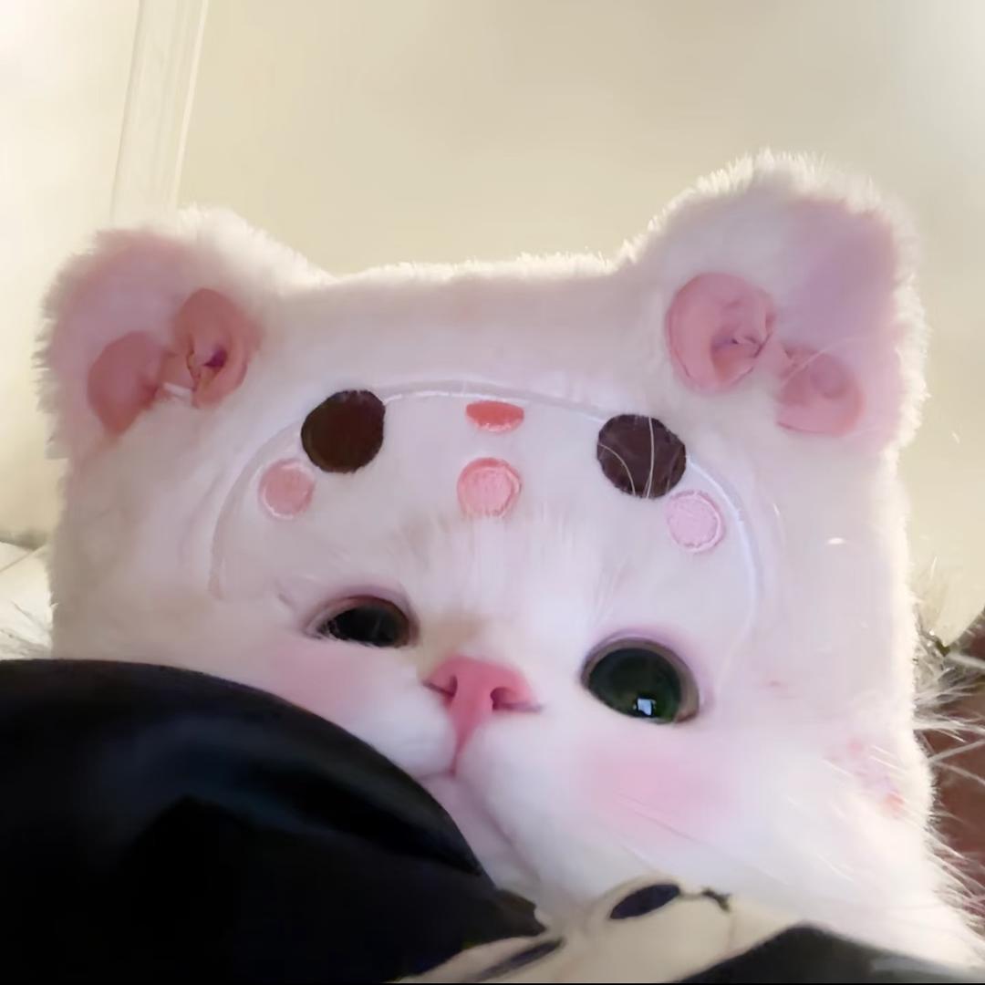 茵茵吖