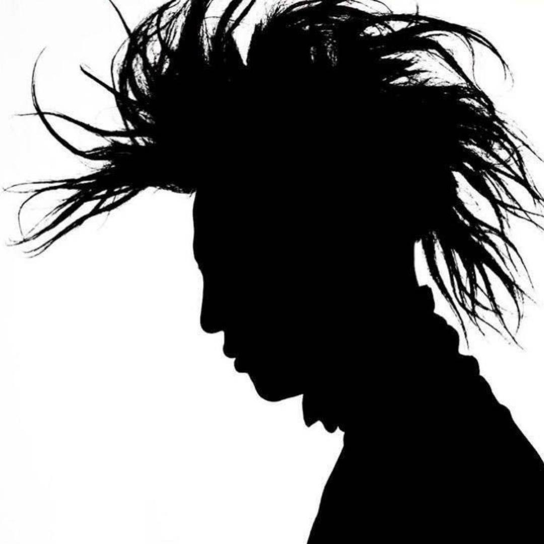 杨了个杨