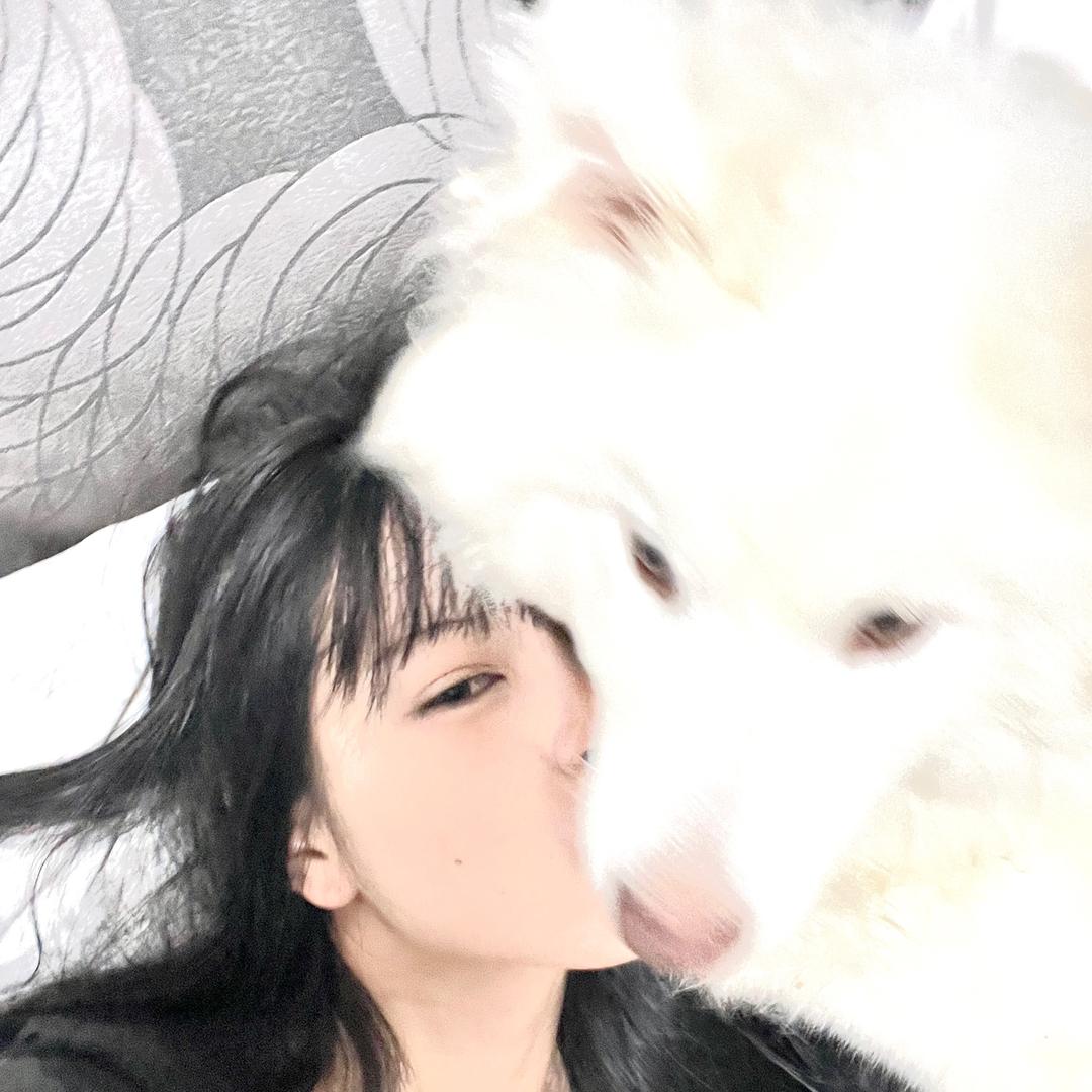 绵绵酪儿