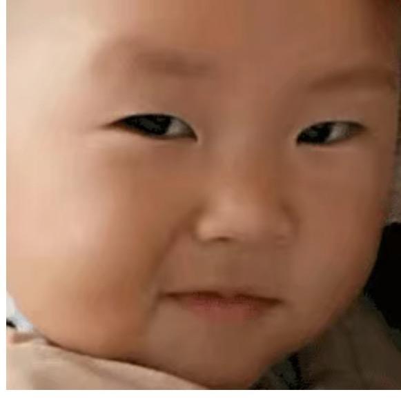 💫丛书💞