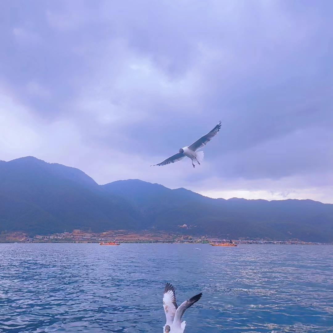丸子头