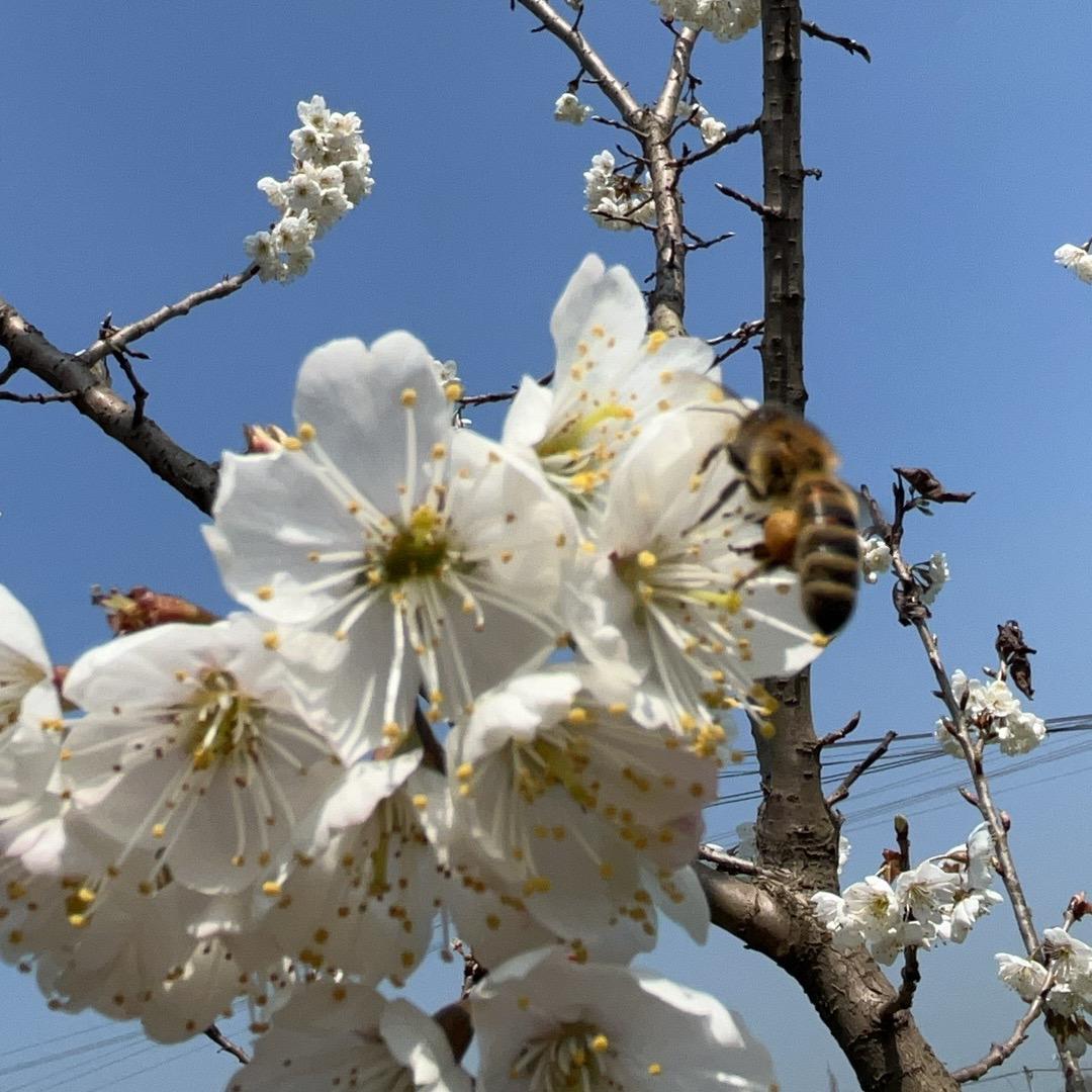 🌈心语心愿🌻🍎🍎