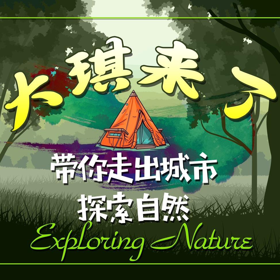 大琪来了