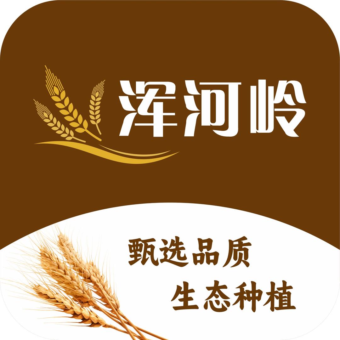 平陆政昊农副产品有限公司