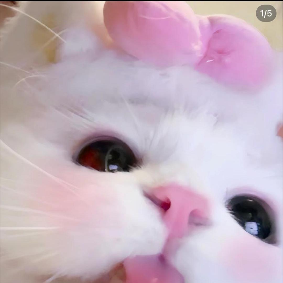 我爱睡觉