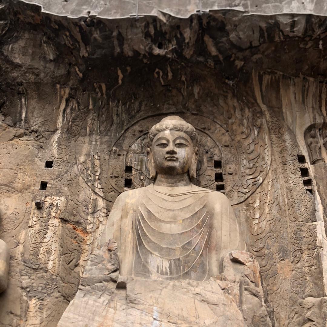 漫步森林