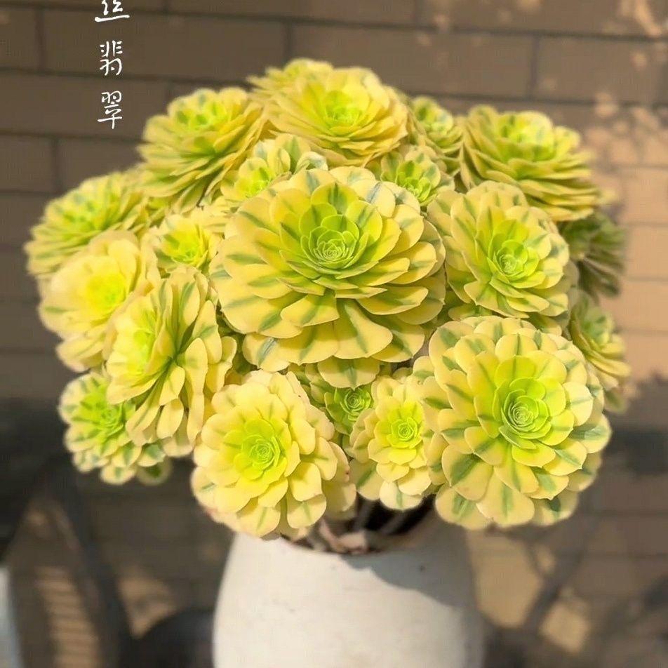 从容笃定