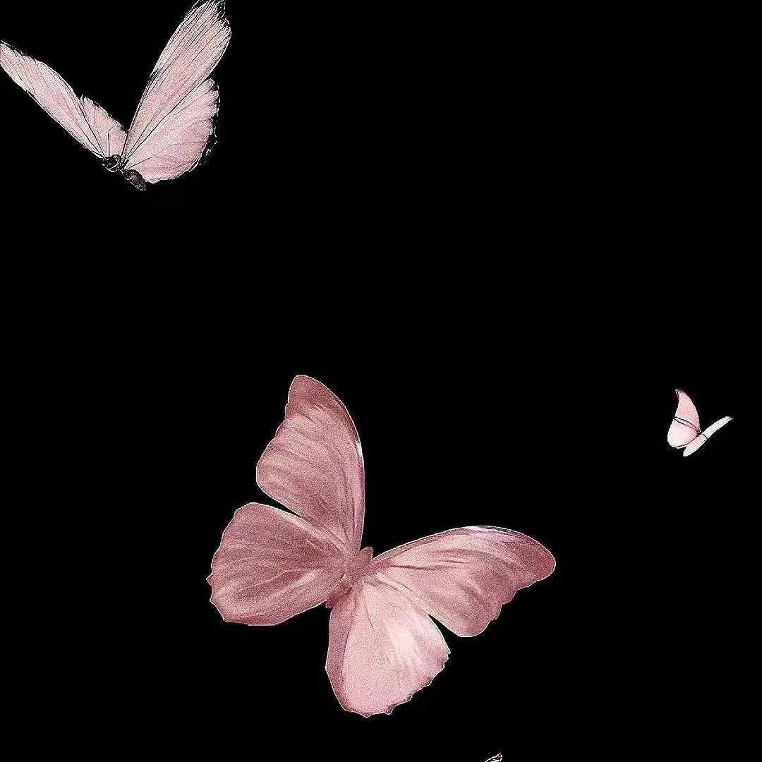 笑笑🌸