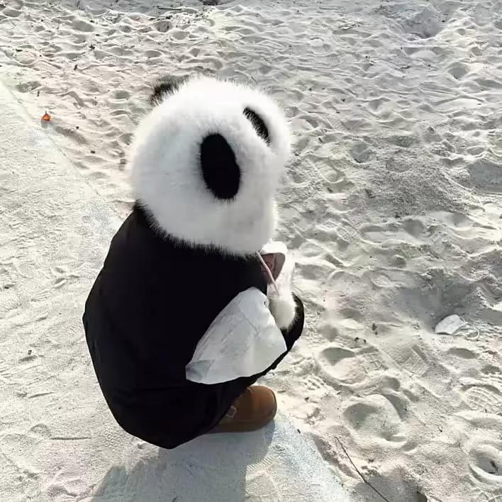 哆哆^_^