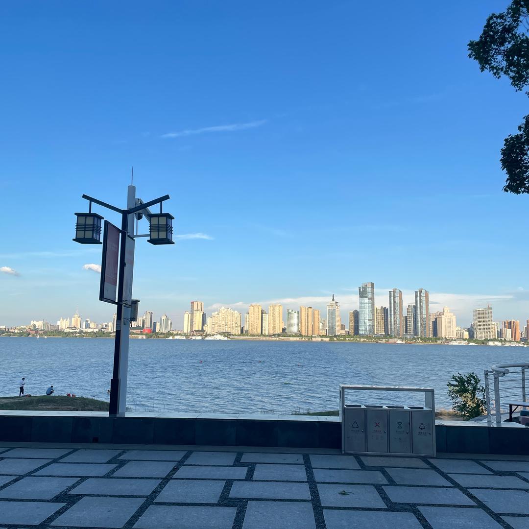 梧栢