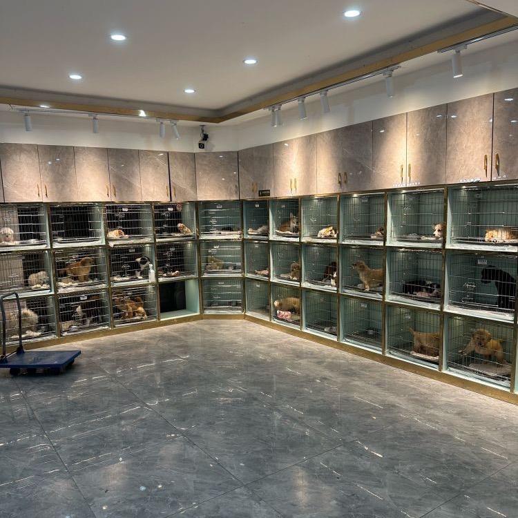 梦宠山庄犬舍苏州总店