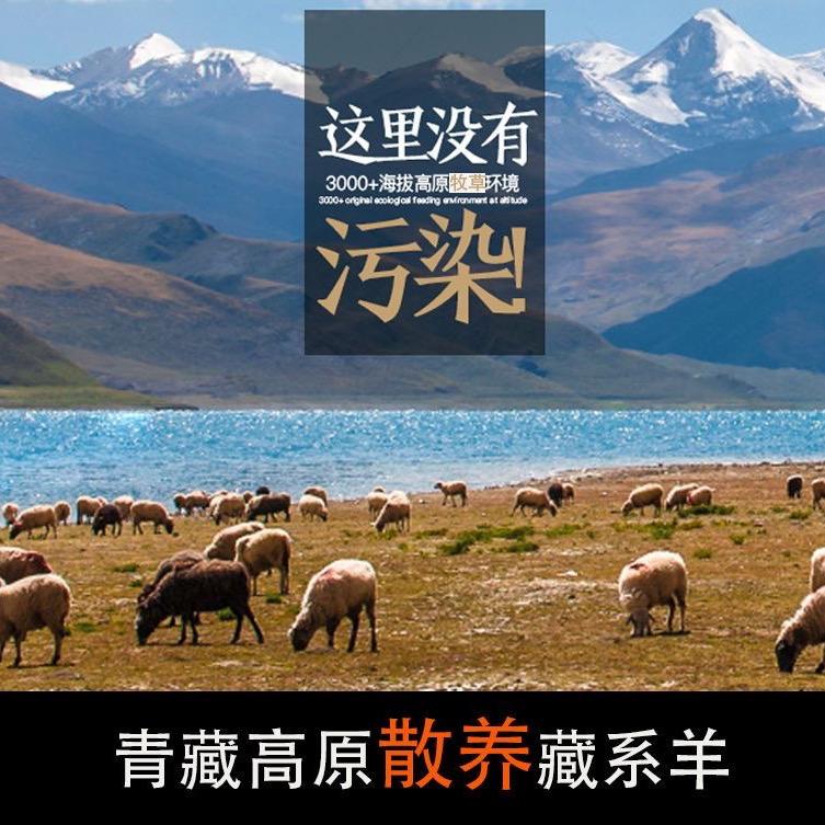 卓泰牛鞭鸡腰供应链