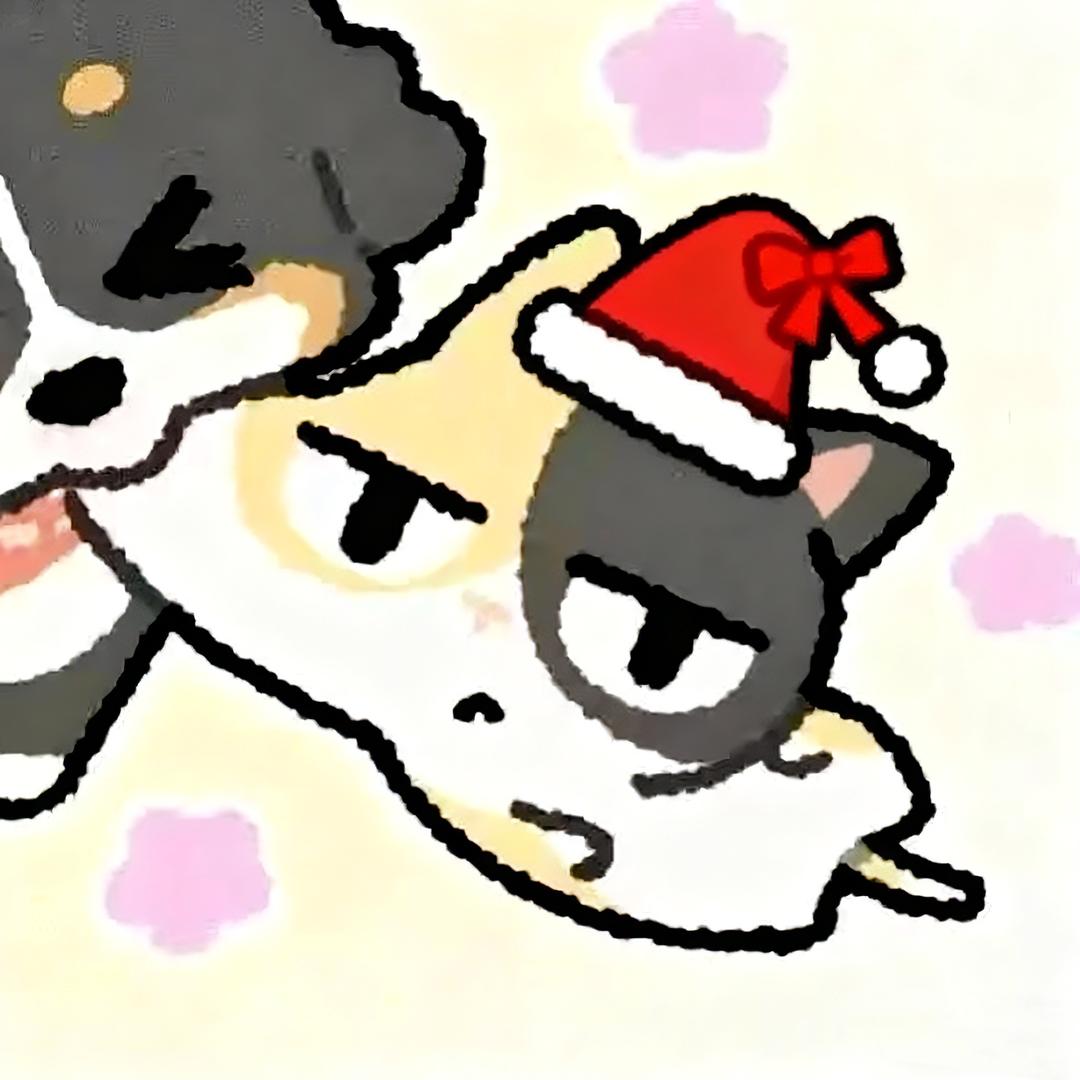 张小猫🐈.