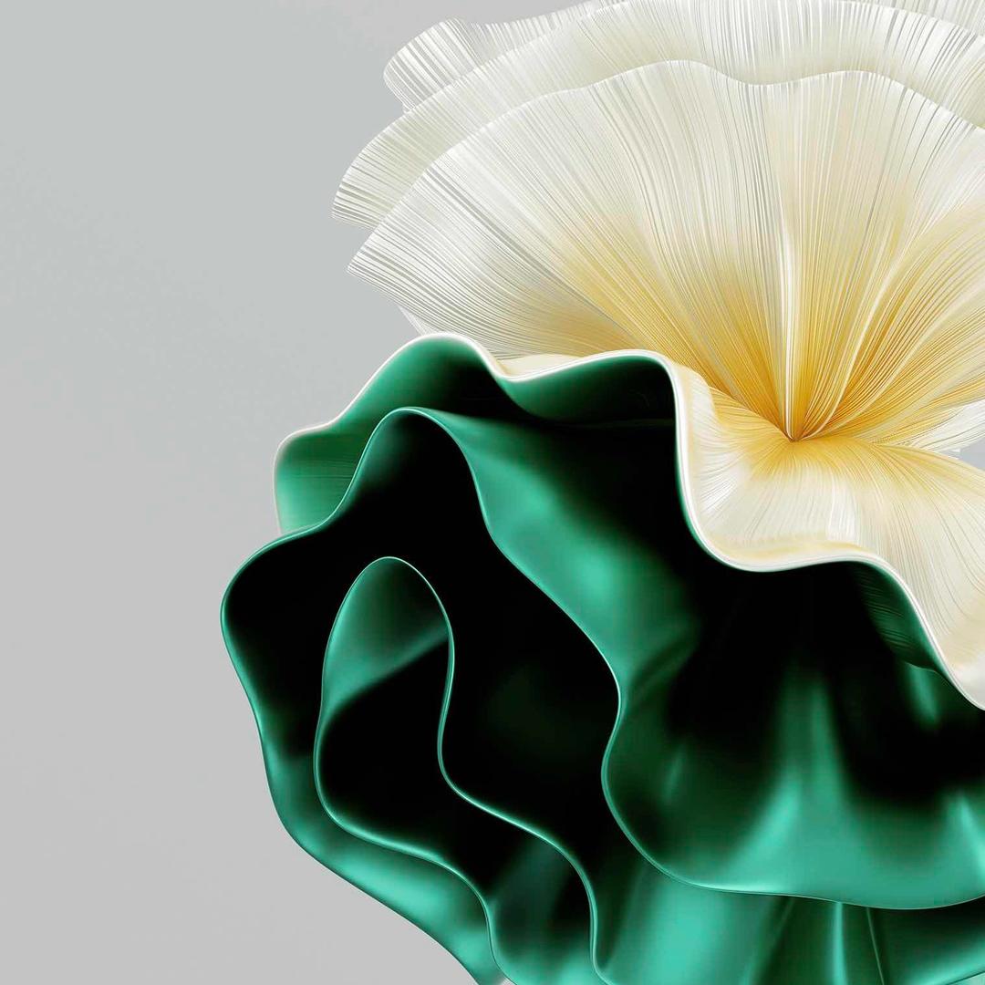 遗落森林❤️‍🔥