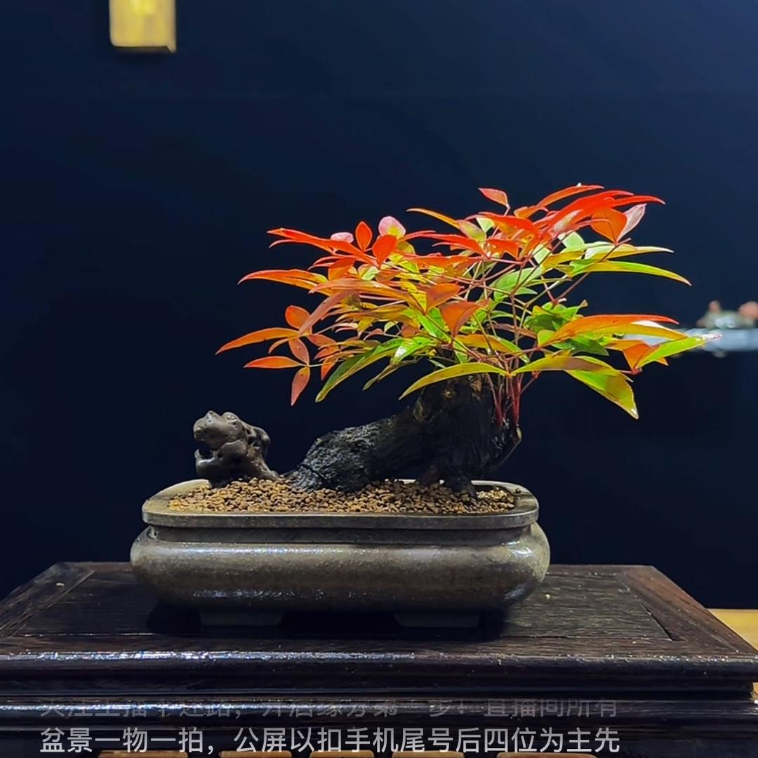 🌈静