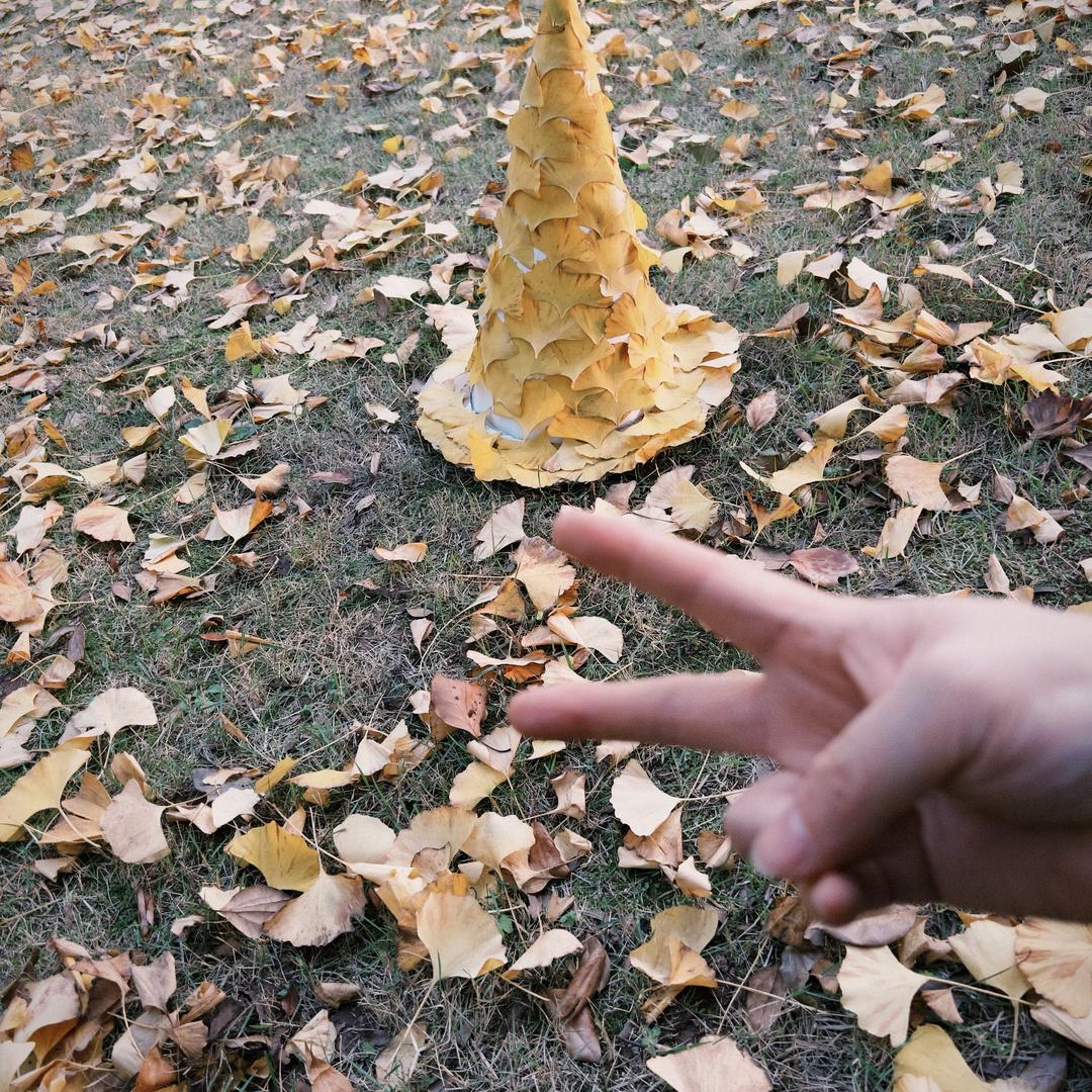 **唯怡