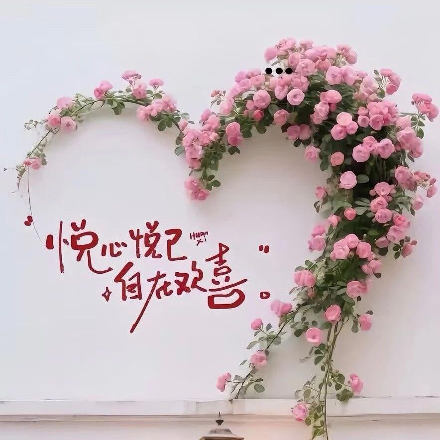 🪷一念心清净🪷