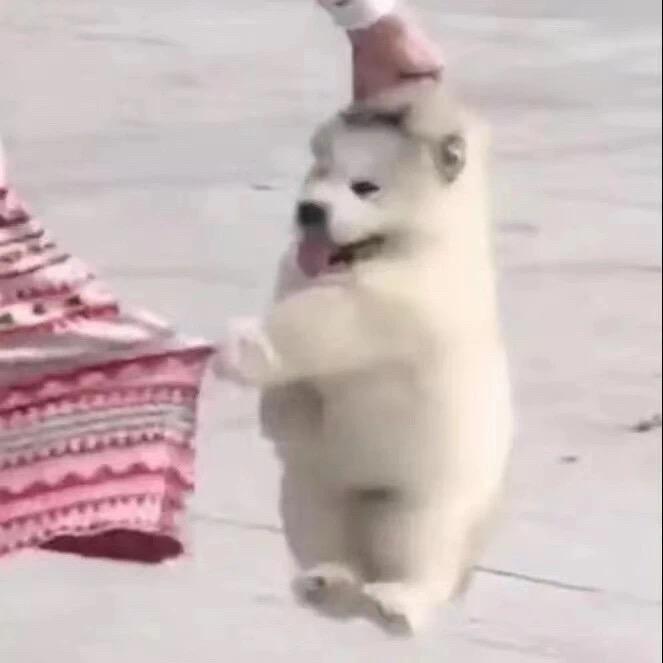 谨念