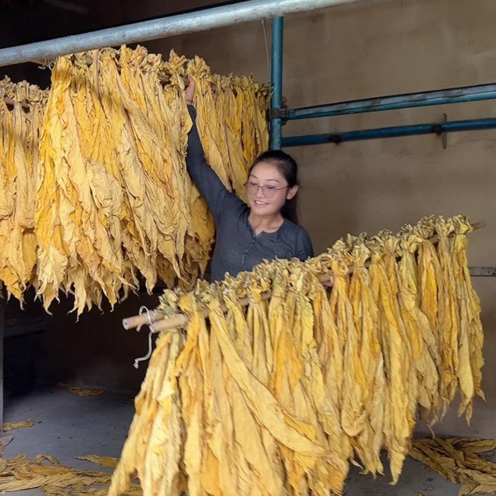 云南～小菊子☜神界