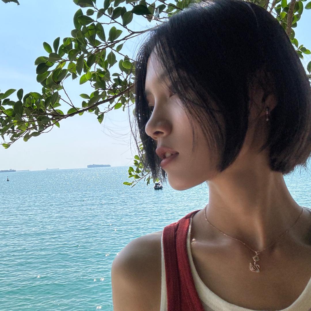 李青青