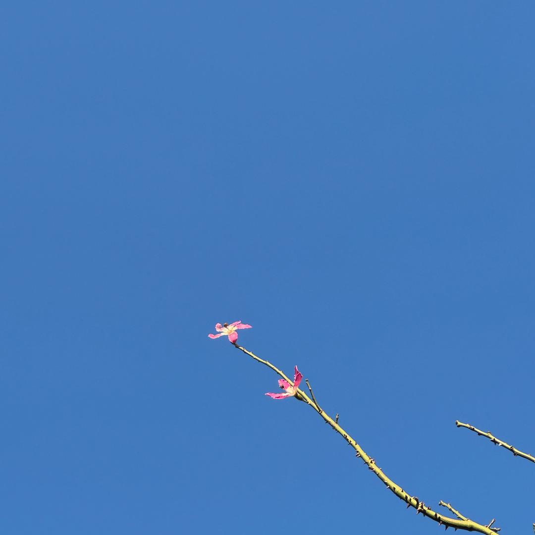 .小满.头像