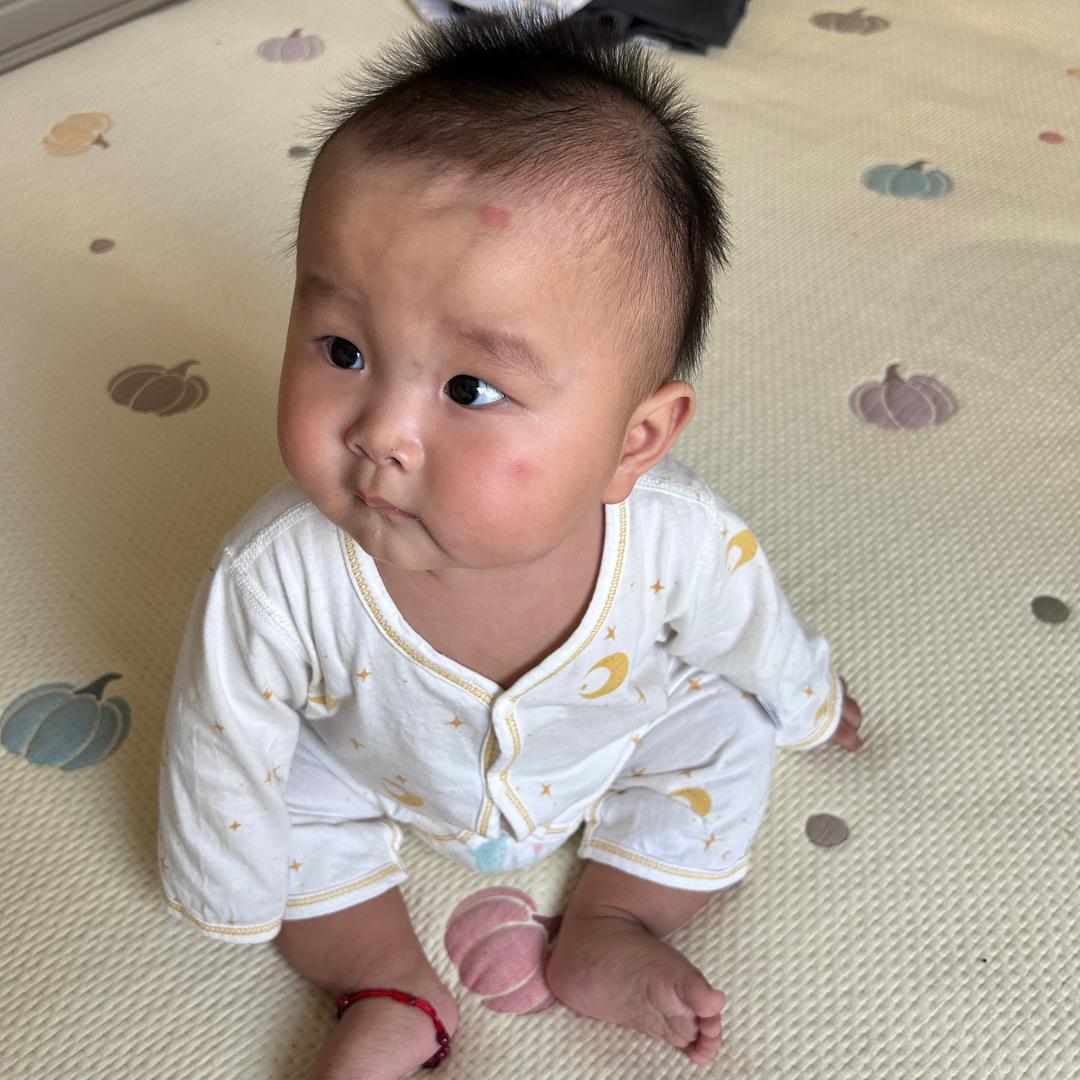十一