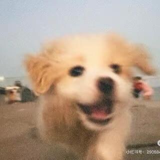 山海没有诗酒