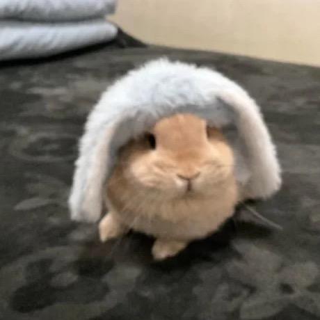 卟婶氧