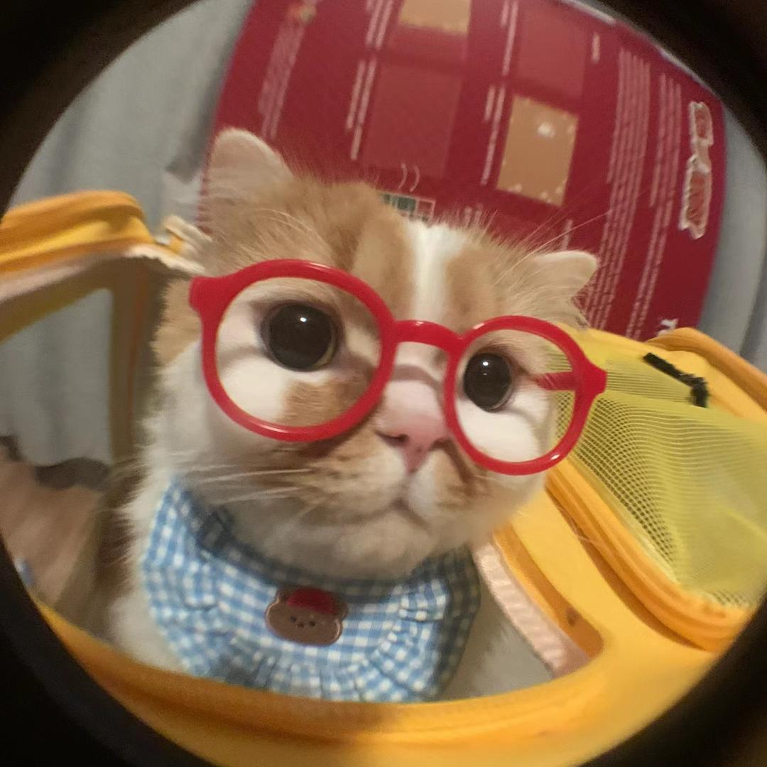 豆角