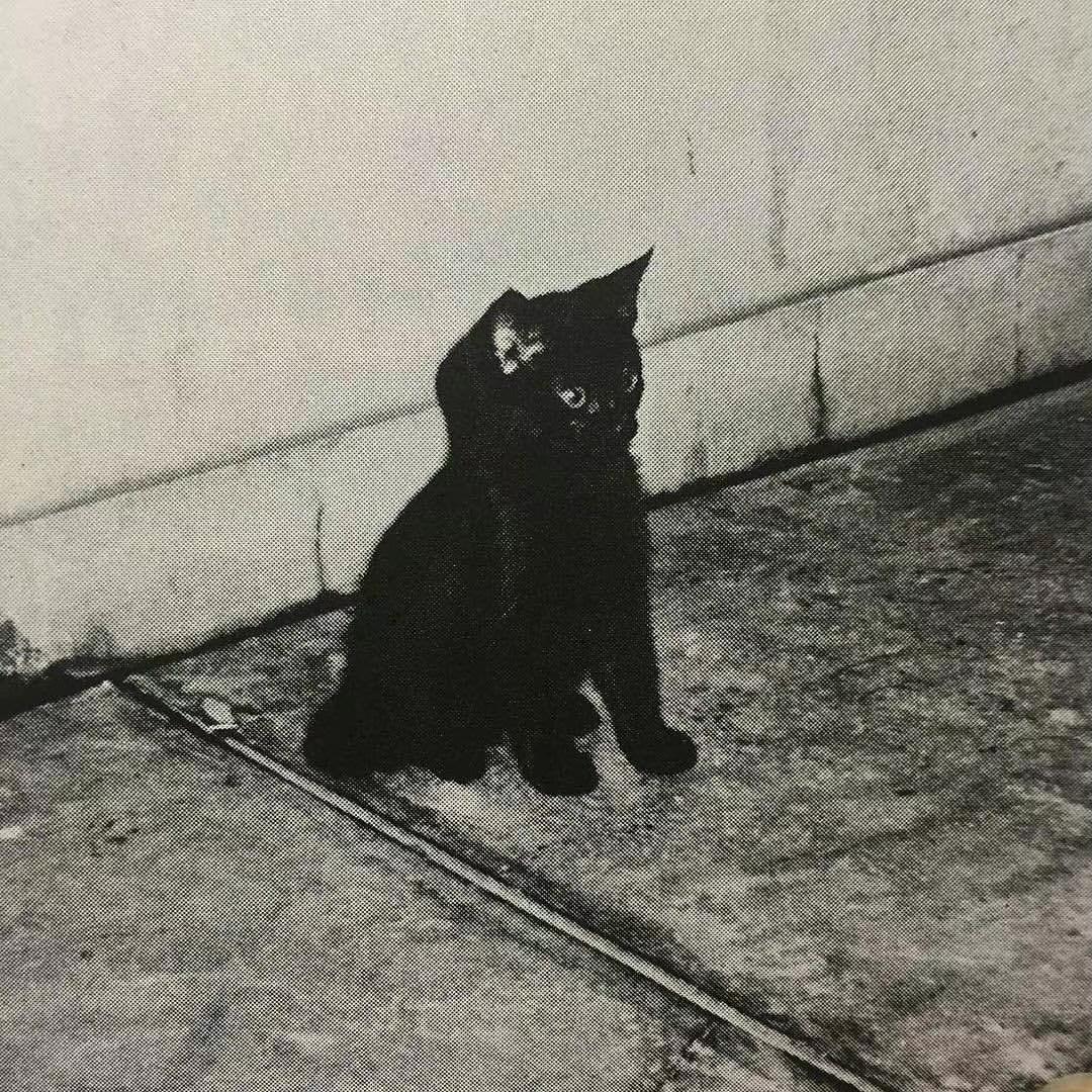 铭