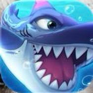 一只鱼🐟（国服风鲲）