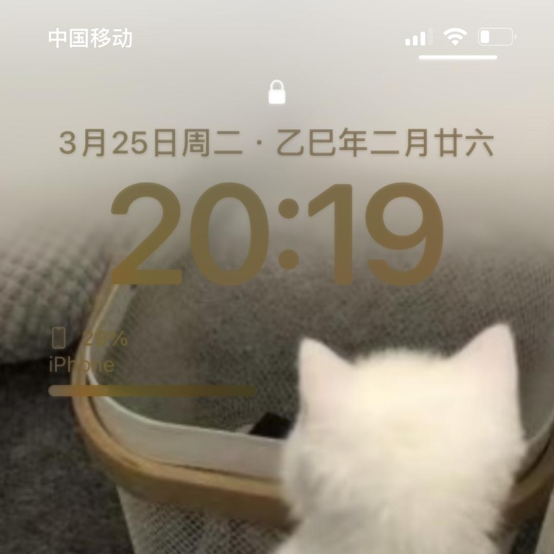 三只强