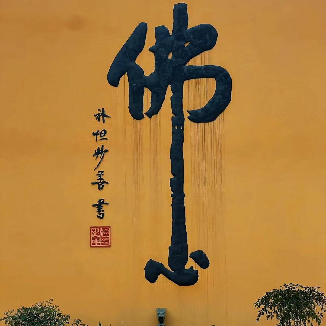 师兄（👀主页❤️～）普陀山