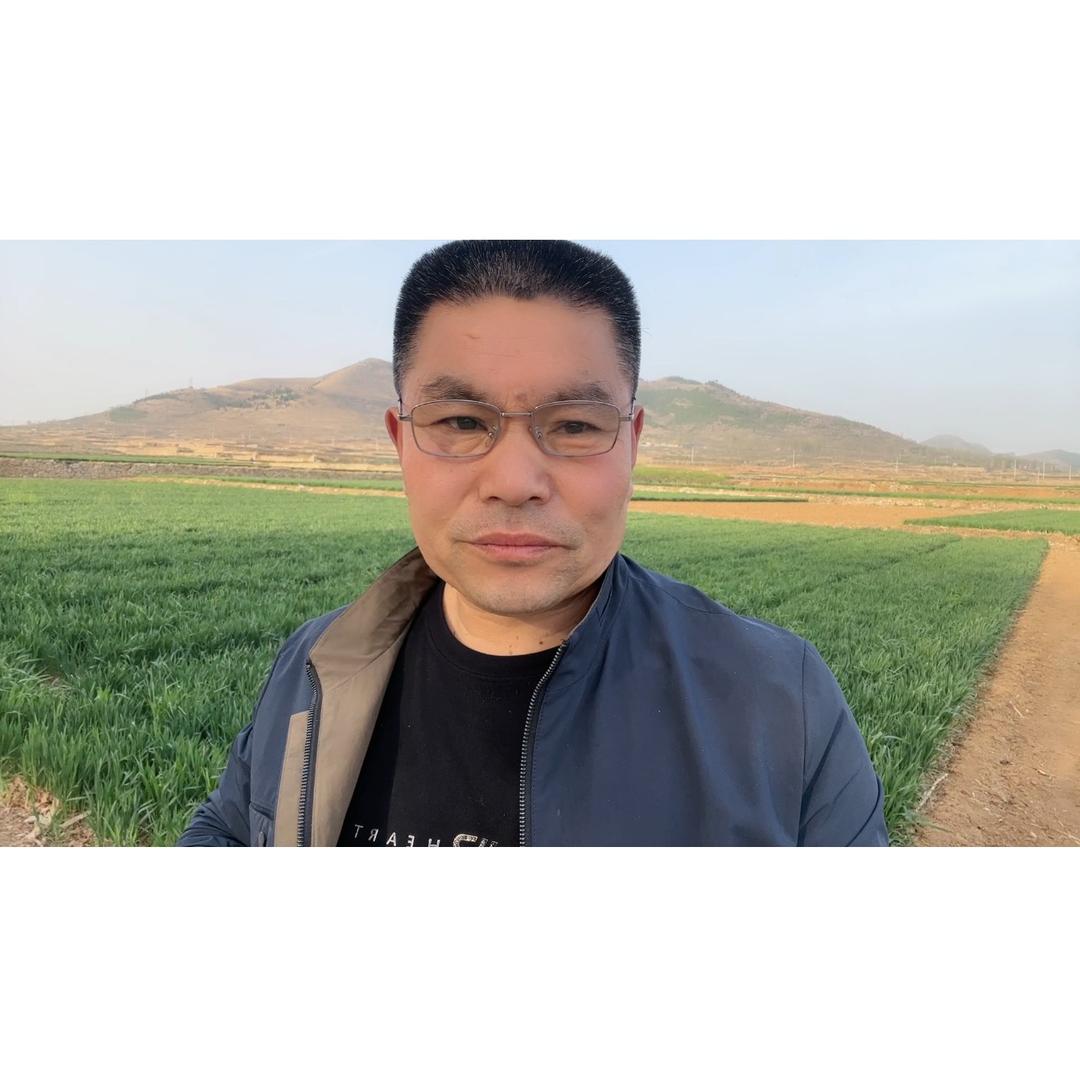 山东文哥