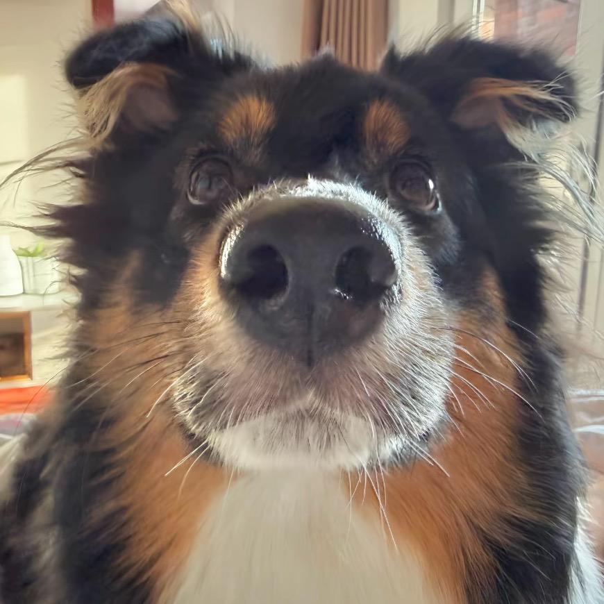 变成压缩包（学游泳版）