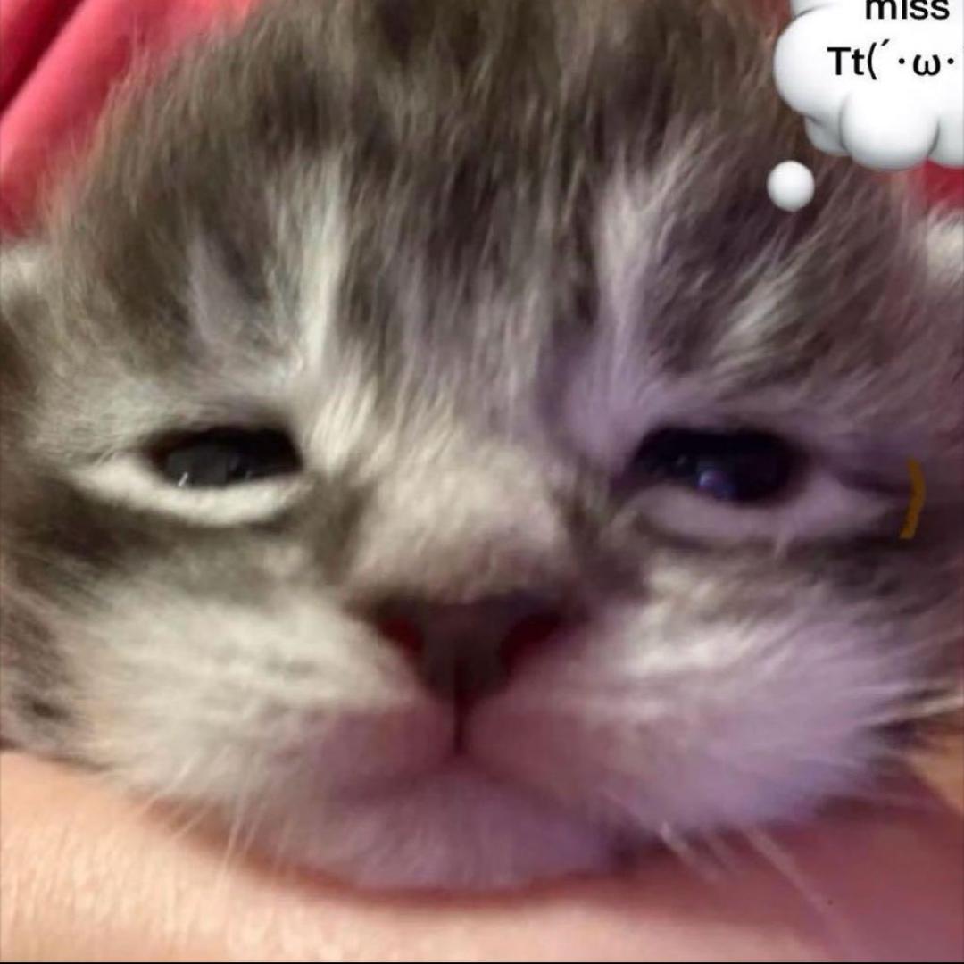 kᵒᯅᵒ＾⁵⁵⁵