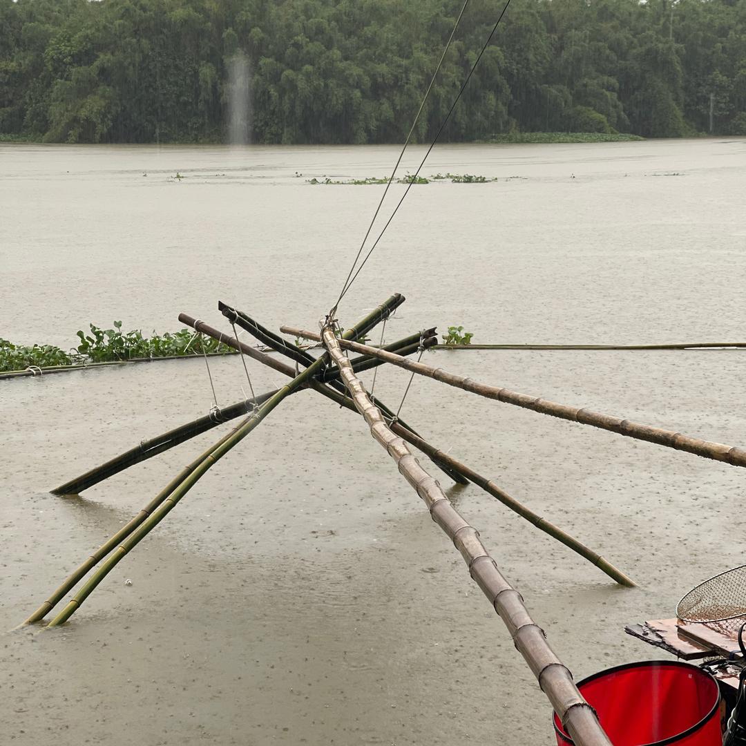 增雨「林尘」